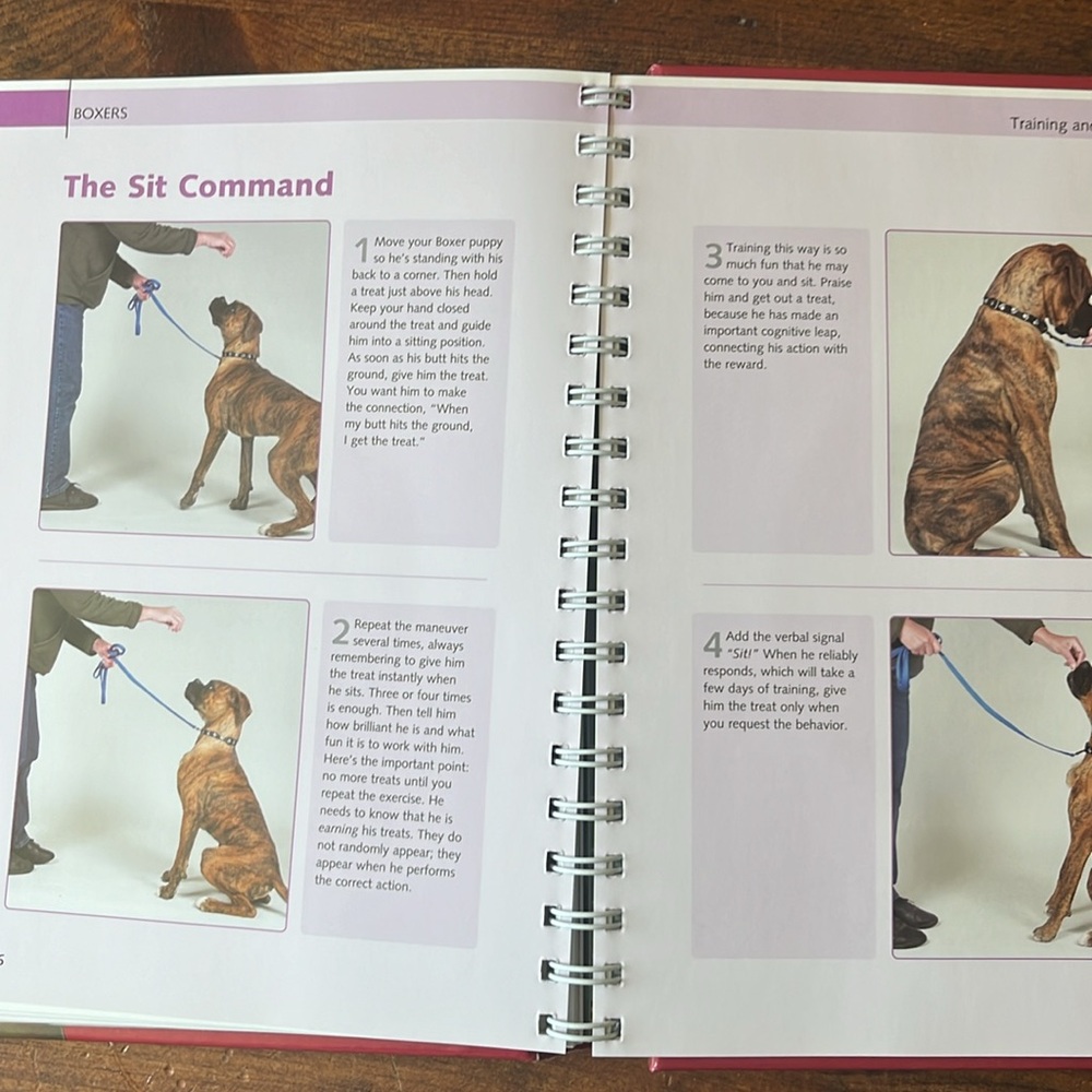BARRON’S DOG BIBLES Boxers by Sharon Sakson (2011, Spiral) - Picture 10 of 12
